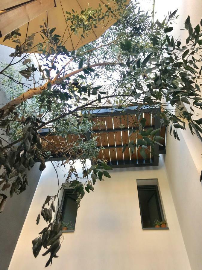 Aux Terrasses Bed & Breakfast Bordeaux Ngoại thất bức ảnh